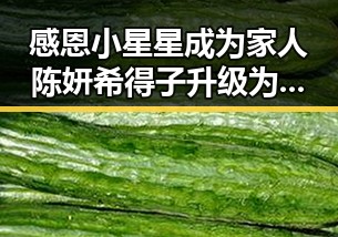 感恩小星星成为家人 陈妍希得子升级为父母同时网络爆出吃瓜酱披萨变种背后故事